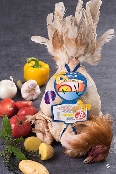 mi-ral-chapon-fermier-prince-de-dombes-kapaun-3-5-4-5-kg image 1