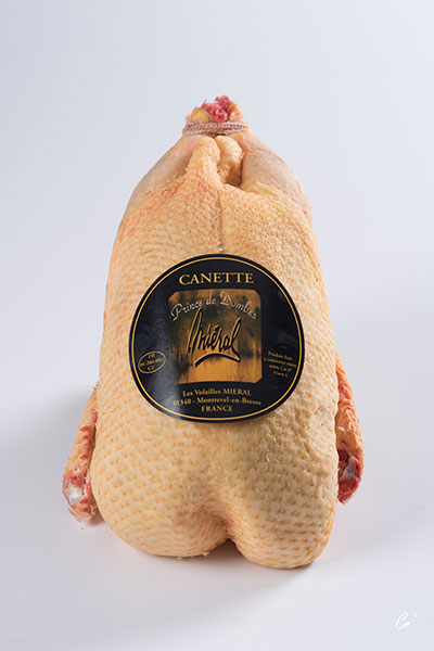 mi-ral-canette-de-barbarie-prince-de-dombes-label-rouge-ente image 4