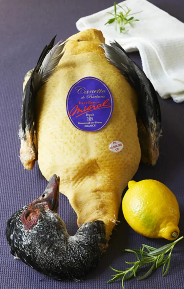 mi-ral-canette-de-barbarie-excellence-barbarie-ente-frisch-2-4-2-6-kg image 1