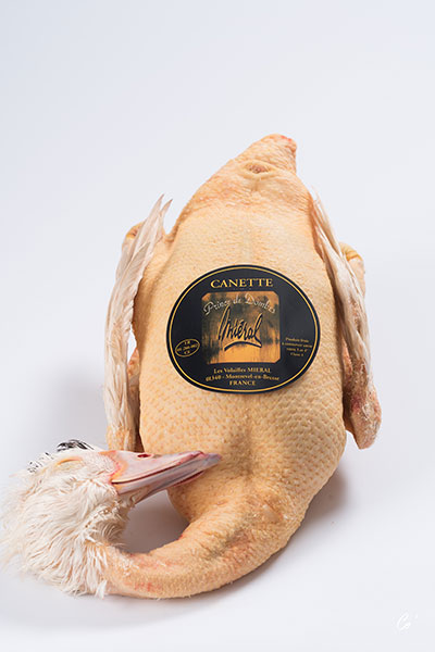 mi-ral-canette-de-barbarie-prince-de-dombes-label-rouge-ente image 3